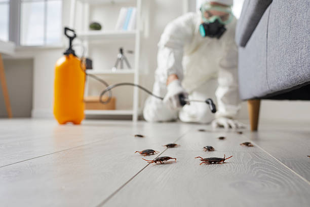 Trusted Cockroach Control service in Russellton, PA - Nex Pest Control